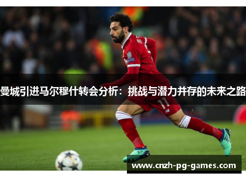 曼城引进马尔穆什转会分析：挑战与潜力并存的未来之路