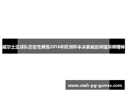 威尔士足球队历史性晋级2016年欧洲杯半决赛展现顽强拼搏精神